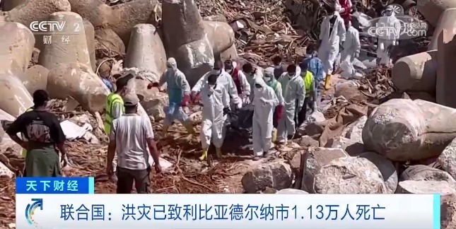 十大信誉网赌博